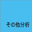 その他分析