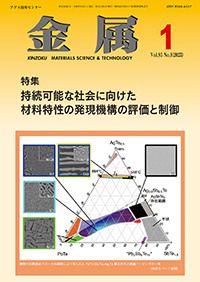 金属Vol.93 No.1表紙